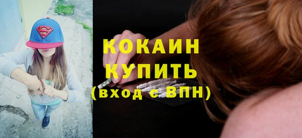 шишки Балахна