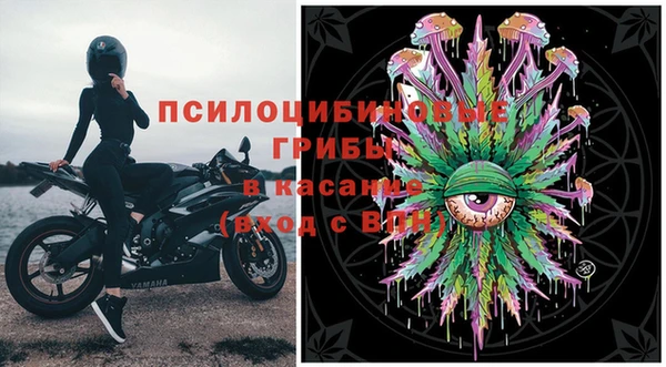 шишки Балахна