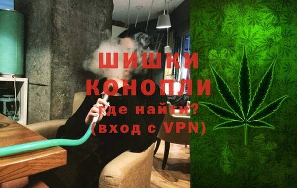 шишки Балахна