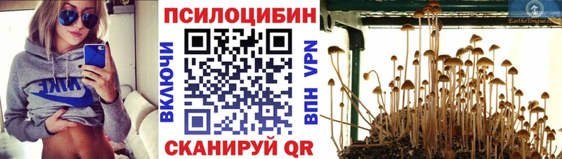 Галлюциногенные грибы прущие грибы  Ленск 
